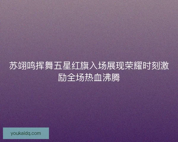 苏翊鸣挥舞五星红旗入场展现荣耀时刻激励全场热血沸腾